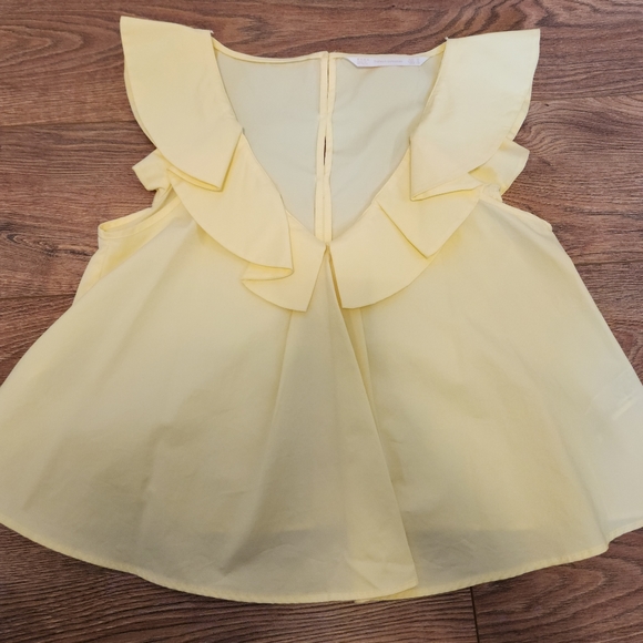 🍋 Zara crop top 🍋 - Picture 1 of 11